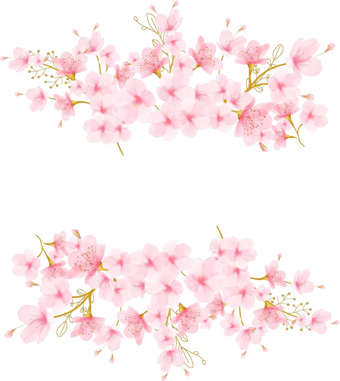 Sakura Frame
