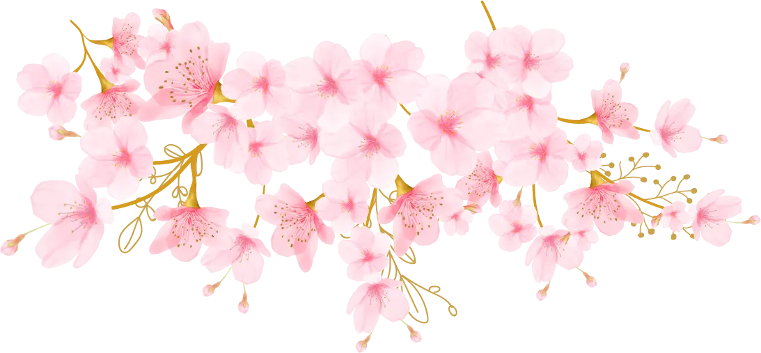 Sakura Bawah
